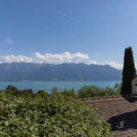 Spacious - Panoramic View